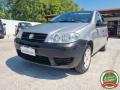 usato FIAT Punto