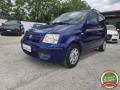 usato FIAT Panda