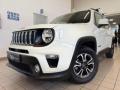 usato JEEP Renegade