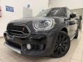 usato MINI Countryman