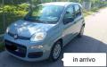 usato FIAT Panda
