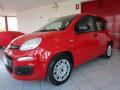 usato FIAT Panda