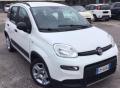 usato FIAT Panda