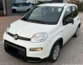 usato FIAT Panda