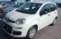 usato FIAT Panda