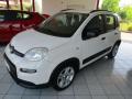 usato FIAT Panda