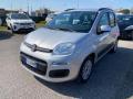 usato FIAT Panda