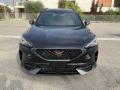 usato CUPRA Formentor