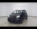 usato FIAT Panda