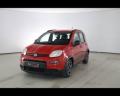 usato FIAT Panda