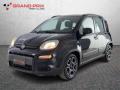 usato FIAT Panda