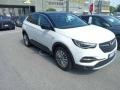 usato OPEL Grandland X
