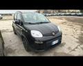 usato FIAT Panda