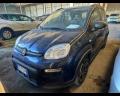 usato FIAT Panda
