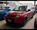 usato FIAT Panda