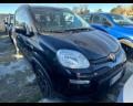 usato FIAT Panda