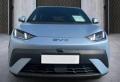 nuovo BYD Dolphin