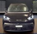 nuovo BYD Dolphin