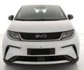 nuovo BYD Dolphin