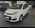 usato FIAT Panda