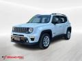 usato JEEP Renegade