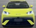 usato BYD Dolphin