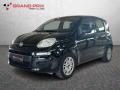 usato FIAT Panda