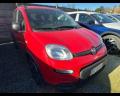usato FIAT Panda