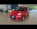 usato FIAT Panda