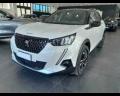 usato PEUGEOT 2008