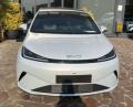 nuovo BYD DOLPHIN G DM i