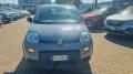 usato FIAT Panda