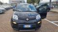 usato FIAT Panda