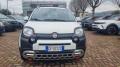 usato FIAT Panda