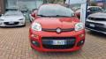 usato FIAT Panda