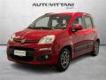 usato FIAT Panda