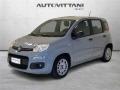 usato FIAT Panda