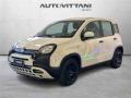 usato FIAT Panda
