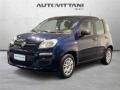 usato FIAT Panda