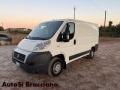usato FIAT Ducato