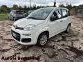 usato FIAT Panda