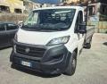 usato FIAT Ducato