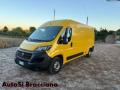 usato FIAT Ducato
