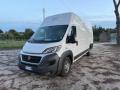 usato FIAT Ducato