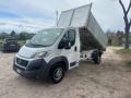 usato FIAT Ducato