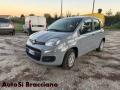 usato FIAT Panda