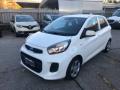 usato KIA Picanto