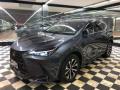 usato LEXUS NX 450h