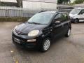 usato FIAT Panda