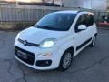usato FIAT Panda